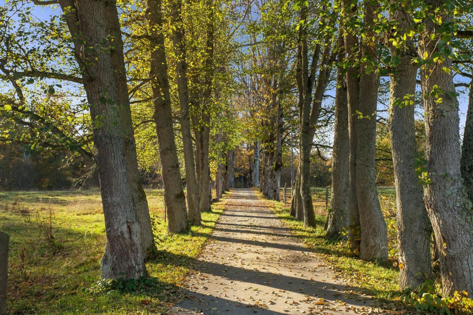 Grimsnas Herrgard Ljuder (Kronoberg) Zewnętrze zdjęcie