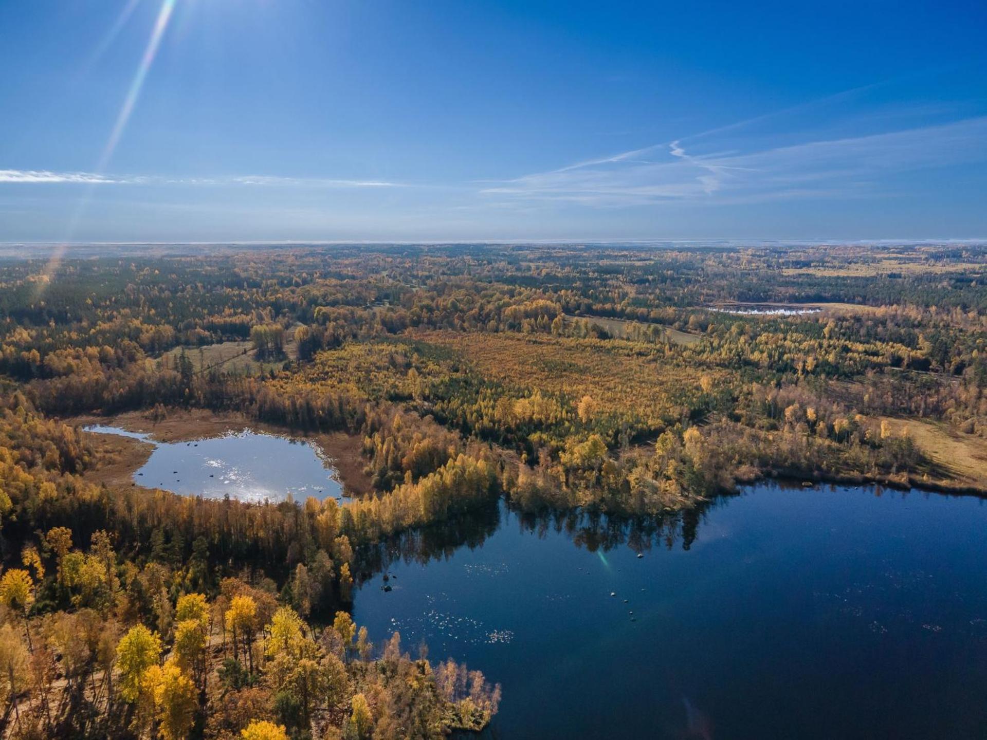 Grimsnas Herrgard Ljuder (Kronoberg) Zewnętrze zdjęcie